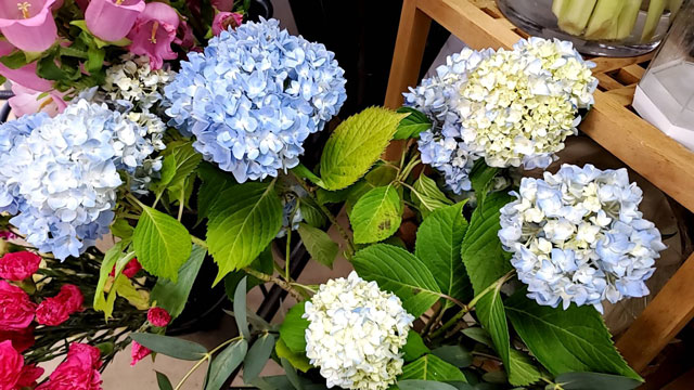 フラワーショップひらら フラワーショップひららは平良西里にあるお花屋さんです