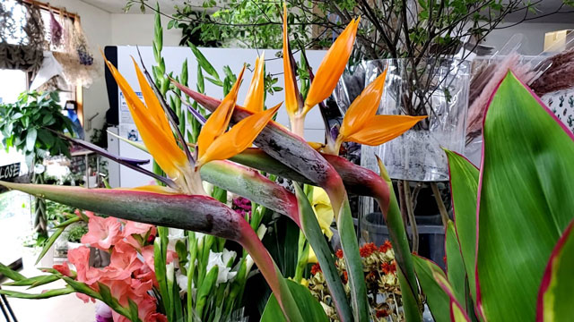 フラワーショップひらら フラワーショップひららは平良西里にあるお花屋さんです